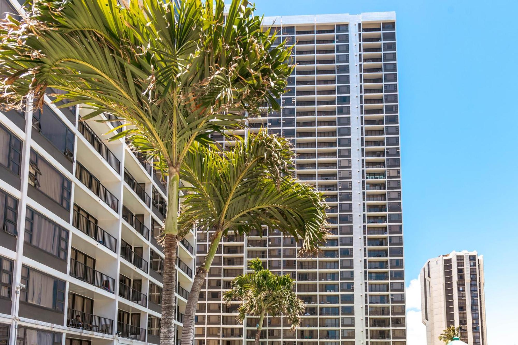 Ocean & Diamond Head Views - Near Beach - Parking! Honolulu Ngoại thất bức ảnh