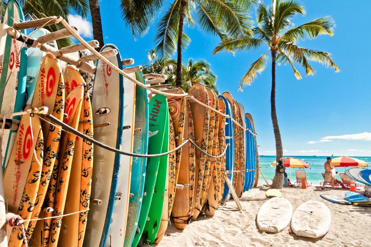 Ocean & Diamond Head Views - Near Beach - Parking! Honolulu Ngoại thất bức ảnh